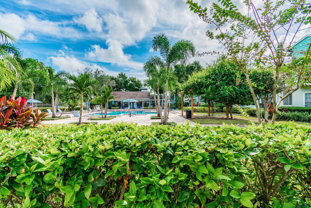 Photos and Video of Ascent Citrus Park in Tampa, FL